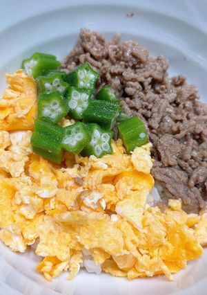 七夕🎋そぼろ丼-レシピのメイン写真