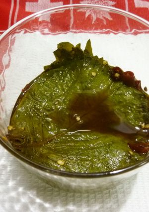 しその葉のしょうゆ漬け-レシピのメイン写真