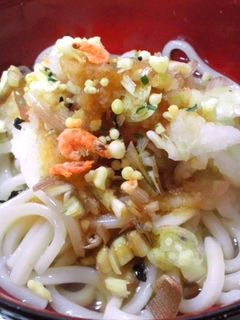 簡単★男のぶっかけおろしうどん-レシピのメイン写真