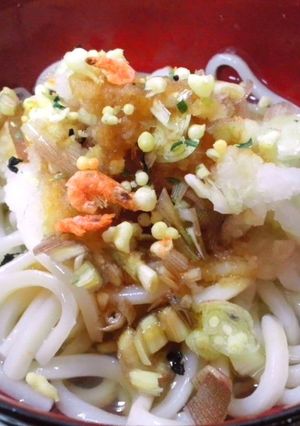 簡単★男のぶっかけおろしうどん-レシピのメイン写真