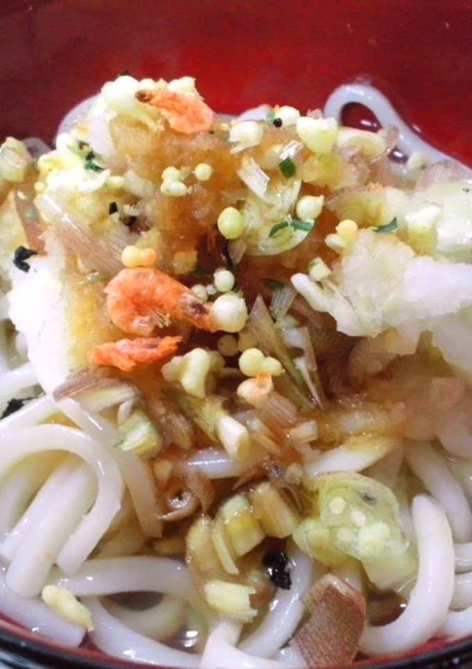 簡単★男のぶっかけおろしうどん-レシピのメイン写真
