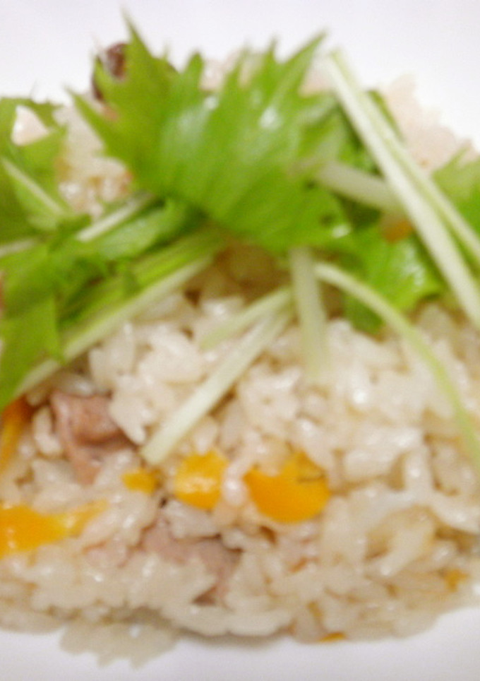 鶏肉とごぼうと人参の炊き込みご飯-レシピのメイン写真