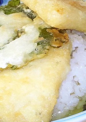 冷たいしそ茶漬け-レシピのメイン写真