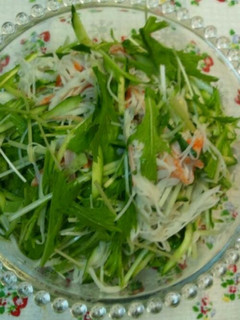水菜のサッパリサラダ-レシピのメイン写真
