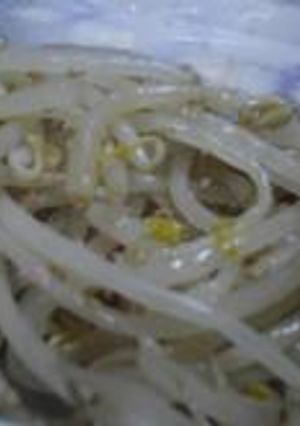 もやしのナムル-レシピのメイン写真