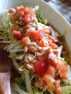 簡単♪白菜と豆腐の和風ツナサラダ-レシピのメイン写真
