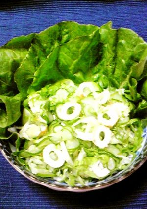 50度で新鮮パリパリ葉物野菜-レシピのメイン写真