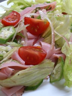 夏野菜のサラダ-レシピのメイン写真