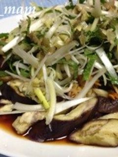 レンジで手間なし★蒸しなすのリャンバン-レシピのメイン写真