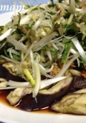 レンジで手間なし★蒸しなすのリャンバン-レシピのメイン写真