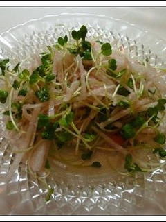 大根とかいわれのたらこサラダ☆-レシピのメイン写真