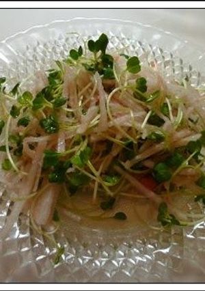 大根とかいわれのたらこサラダ☆-レシピのメイン写真