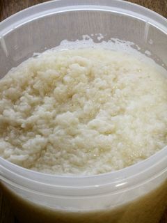 乾燥米麹ともち米で作るヘルシー甘酒-レシピのメイン写真