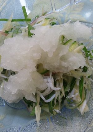 酒つま　大根おろしでひんやりツマミ！-レシピのメイン写真
