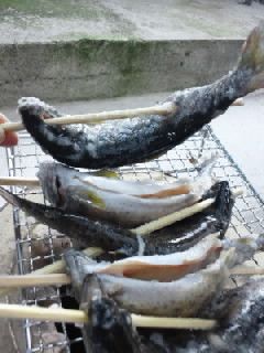 アマゴの塩焼き-レシピのメイン写真