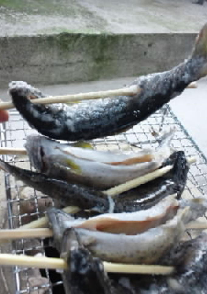 アマゴの塩焼き-レシピのメイン写真