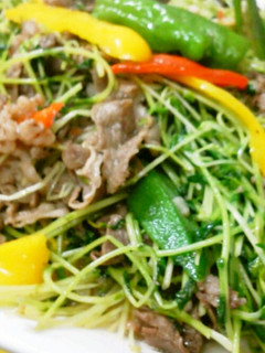 簡単!旨い!サクサク豆苗と夏野菜の炒め物-レシピのメイン写真