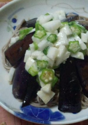 揚げ茄子とオクラ長芋の冷蕎麦-レシピのメイン写真