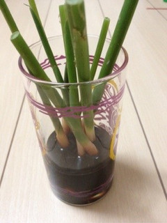 葉つき生姜の醤油漬け-レシピのメイン写真