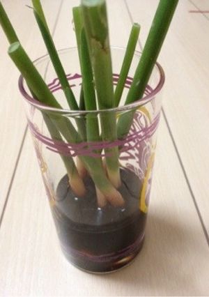 葉つき生姜の醤油漬け-レシピのメイン写真