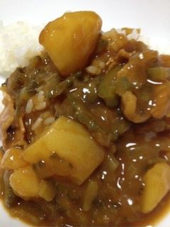 ゴーヤカレーだぁ!-レシピのメイン写真