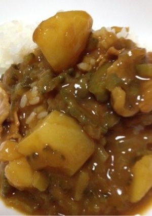 ゴーヤカレーだぁ！-レシピのメイン写真
