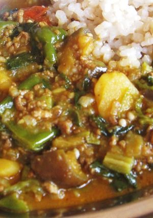 夏野菜とキマカレー（タルカリ）-レシピのメイン写真