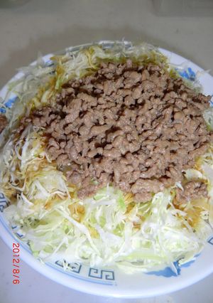 簡単　焼肉のタレのミンチ丼ブリ-レシピのメイン写真