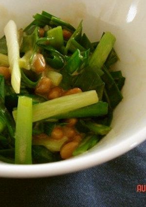 ねぎとにらの納豆サラダ-レシピのメイン写真