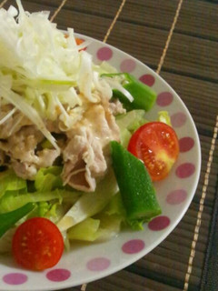夏野菜たっぷり!!冷たい豚しゃぶうどん-レシピのメイン写真