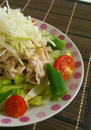 夏野菜たっぷり!!冷たい豚しゃぶうどん-レシピのメイン写真