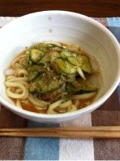 冷汁っぽいうどん!-レシピのメイン写真