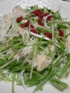 水菜と大根のサラダ-レシピのメイン写真