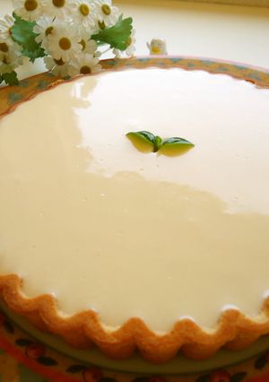 簡単☆ヨーグルトレアチーズケーキ-レシピのメイン写真