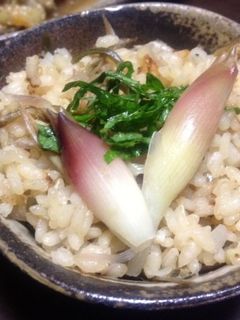 プレ農家めし◆みょうがの甘酢漬け-レシピのメイン写真