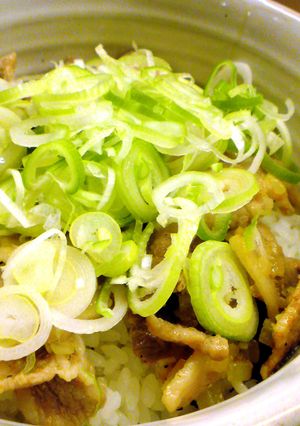 松屋完全コピーのネギ塩豚カルビ丼-レシピのメイン写真