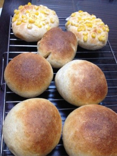 HBで全粒粉パン-レシピのメイン写真