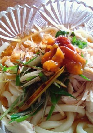 夏バテ解消！ぶっかけうどん☆-レシピのメイン写真