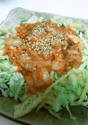 キムチＤＥつまみ-レシピのメイン写真