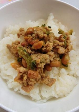 ゴーヤ入り納豆そぼろご飯-レシピのメイン写真