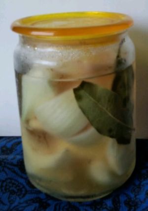 玉ねぎ　生姜　ピクルス-レシピのメイン写真