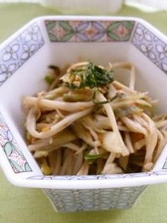 みょうがのきんぴら-レシピのメイン写真