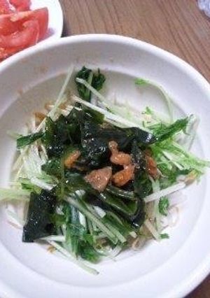 もやしと水菜のサラダ-レシピのメイン写真