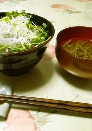 生しらす鰯刺身三色丼-レシピのメイン写真