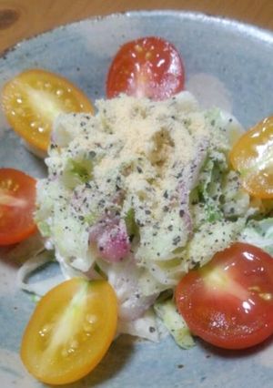 キャベツと紫玉ねぎのさっぱりサラダ-レシピのメイン写真