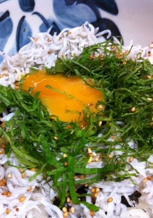 ごま塩しらす丼-レシピのメイン写真