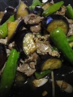 ナスとししとうと牛肉のオイスターソース炒-レシピのメイン写真