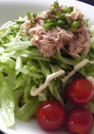 ☆サラダうどん☆-レシピのメイン写真