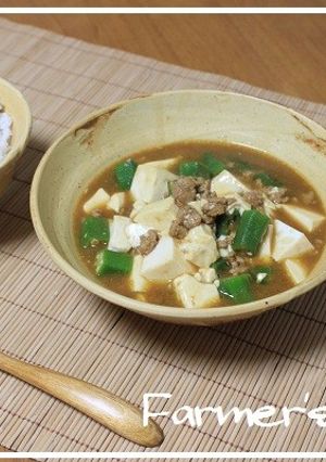 オクラと豆腐の和風スープカレー-レシピのメイン写真