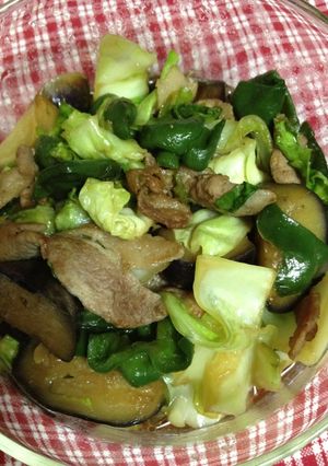 豚肉・ピーマン・なす・キャベツの炒め物-レシピのメイン写真